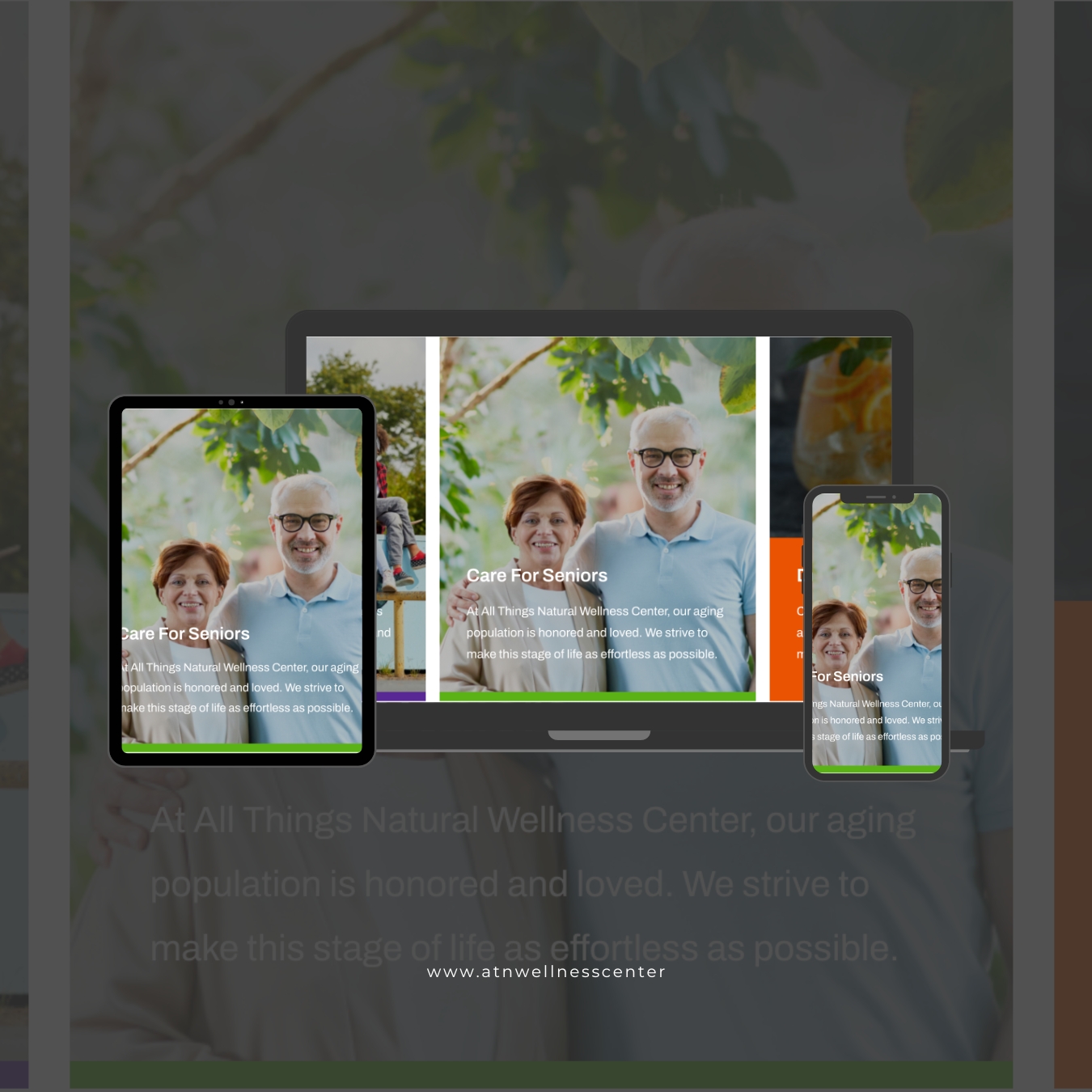 All Things Natural Wellness Center care for seniors services image